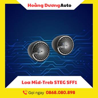 Loa Mid-Treb STEG SFF1