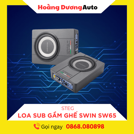 Loa sub điện đôi gầm ghế Steg